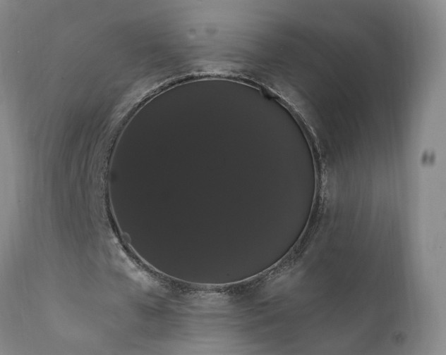 X0000111910577200907271224