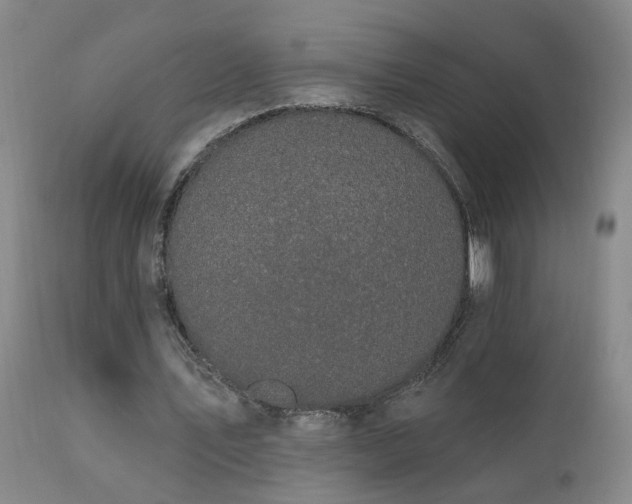 X0000111910579200907271224