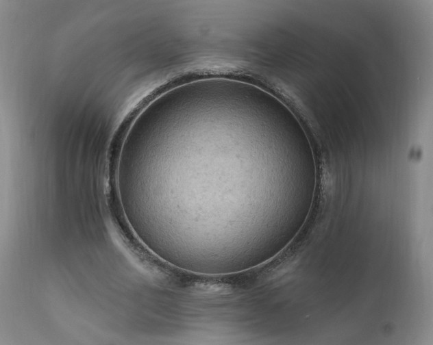 X0000111910582200907271224