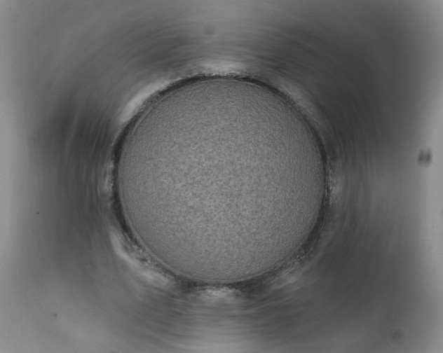 X0000111910583200907271224