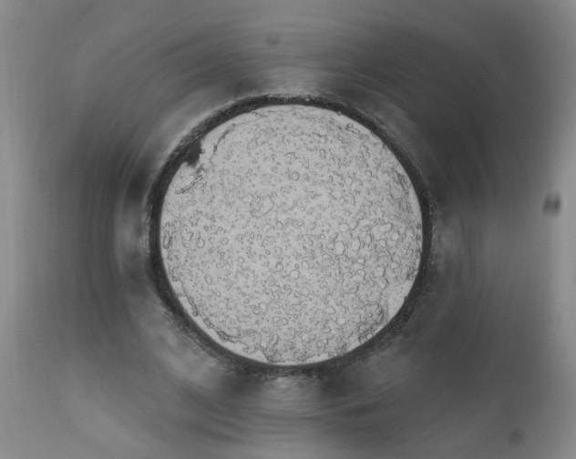 X0000111910584200907271224