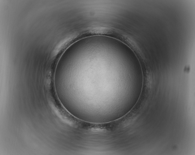 X0000111910586200907271224