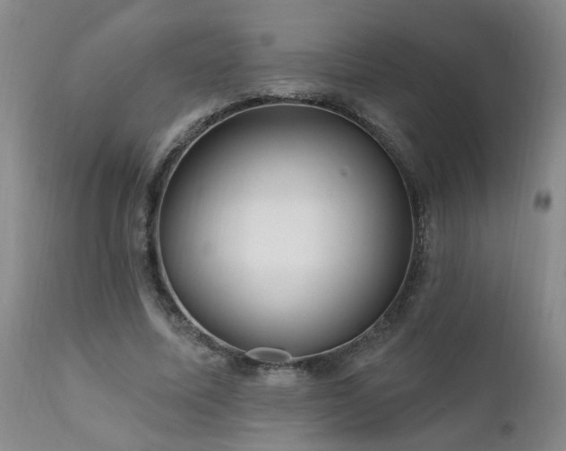 X0000111910587200907271224