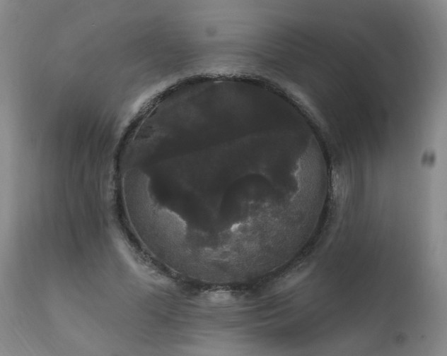 X0000111910588200907271224