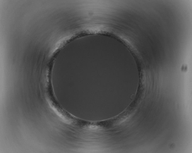 X0000111910590200907271224