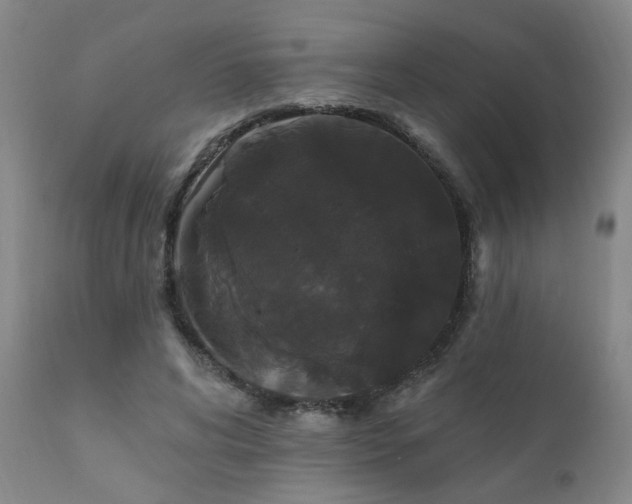 X0000111910592200907271224