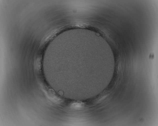 X0000111910595200907271224