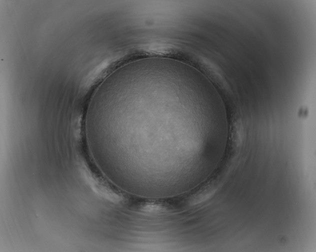 X0000111910596200907271224
