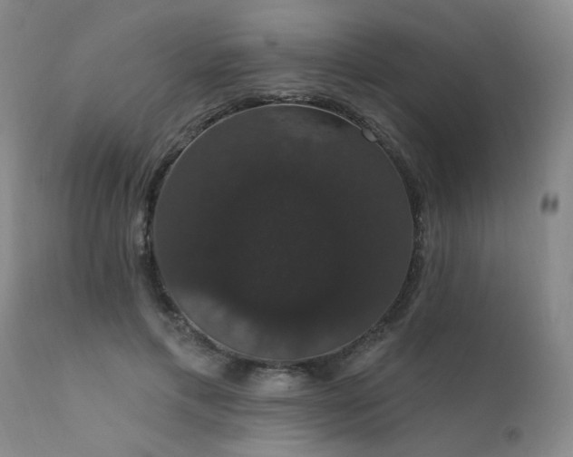 X0000111910597200907271224