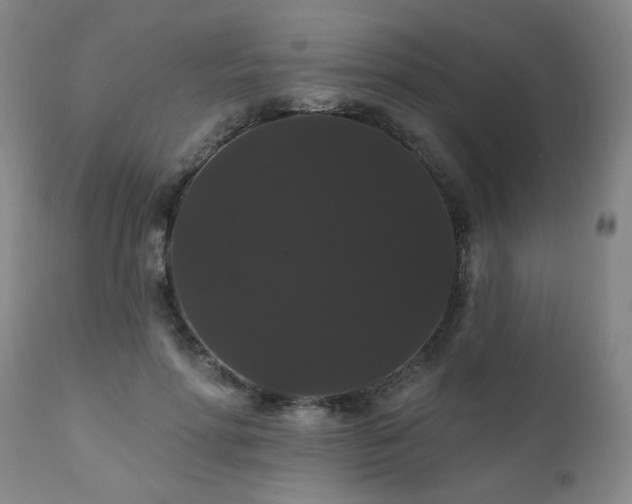 X0000111910598200907271223