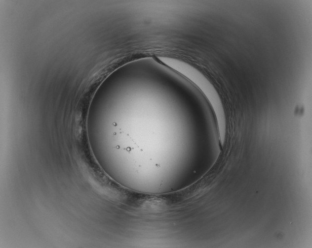 X0000111910599200907271223