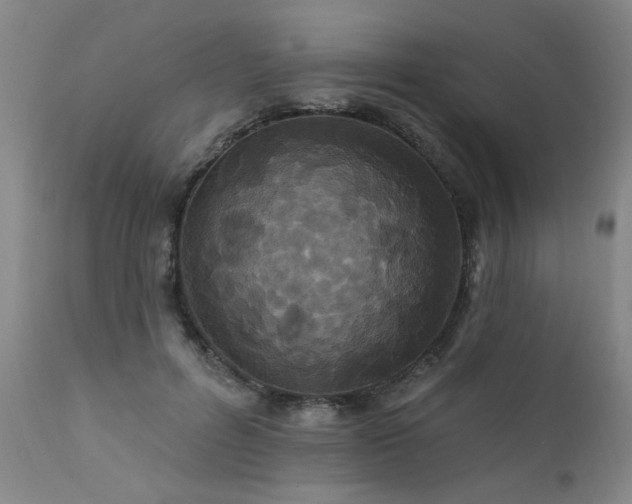X0000111910600200907271223