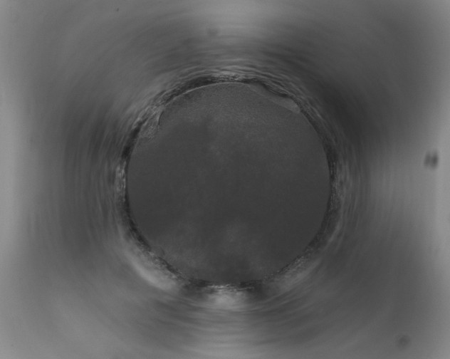 X0000111910601200907271223