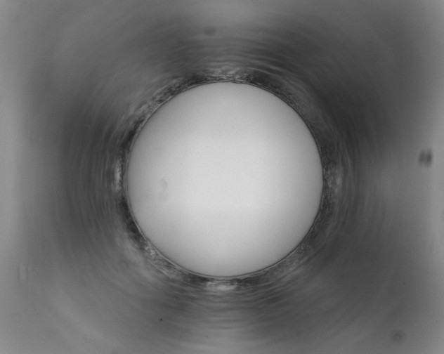 X0000111910602200907271223