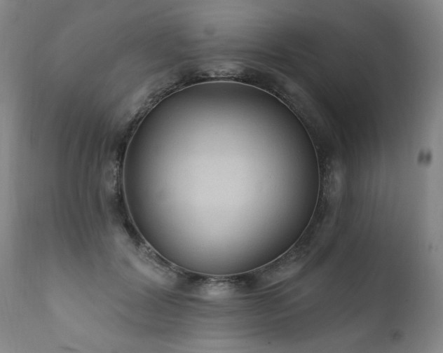 X0000111910604200907271223