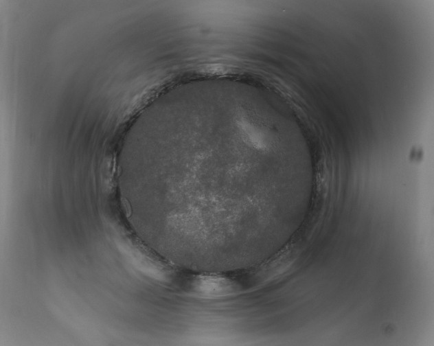 X0000111910605200907271223