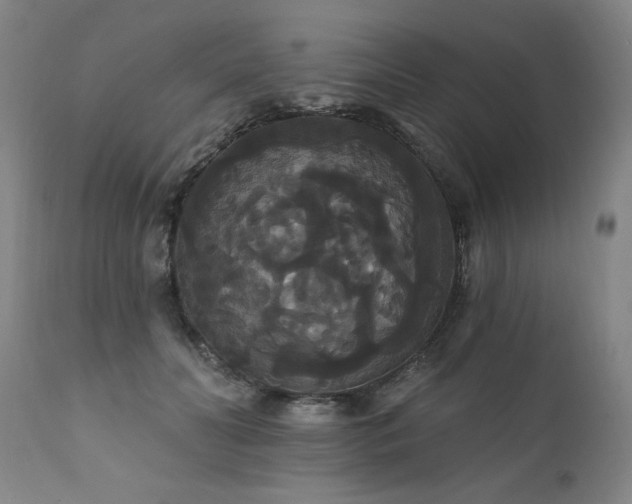 X0000111910606200907271223