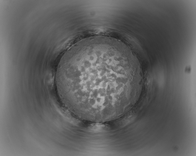 X0000111910607200907271223