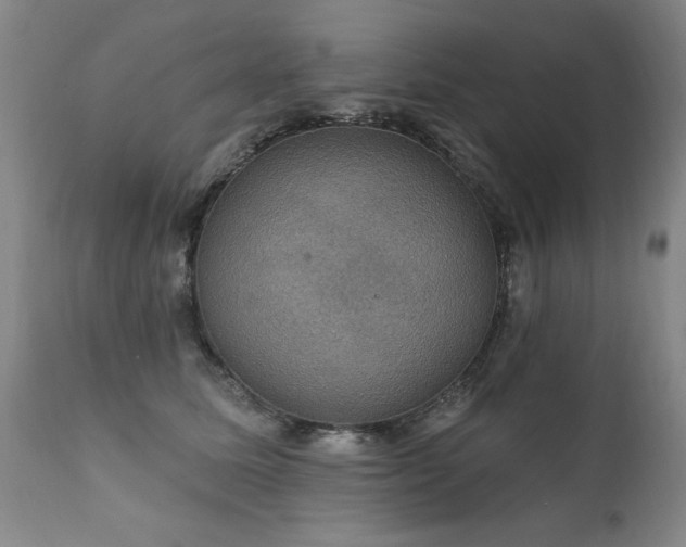 X0000111910611200907271223