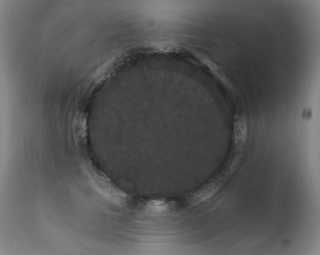 X0000111910613200907271223