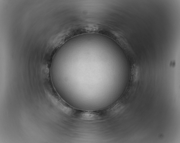 X0000111910614200907271223