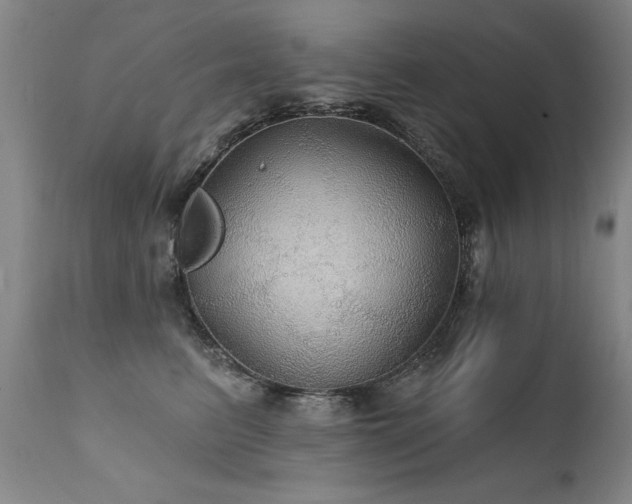 X0000111910615200907271223