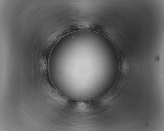 X0000111910616200907271223