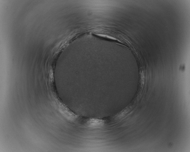 X0000111910617200907271223