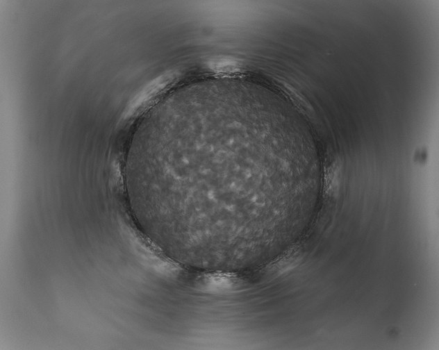 X0000111910618200907271223