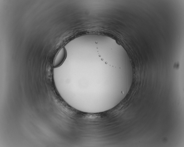 X0000111910619200907271223