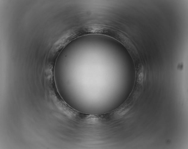 X0000111910620200907271223