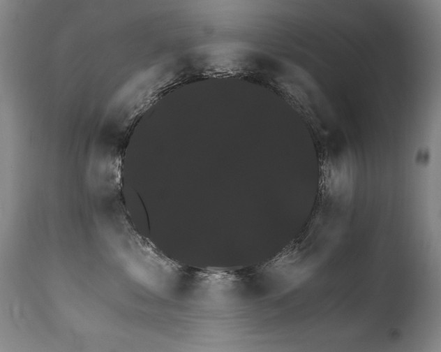 X0000111910621200907271223