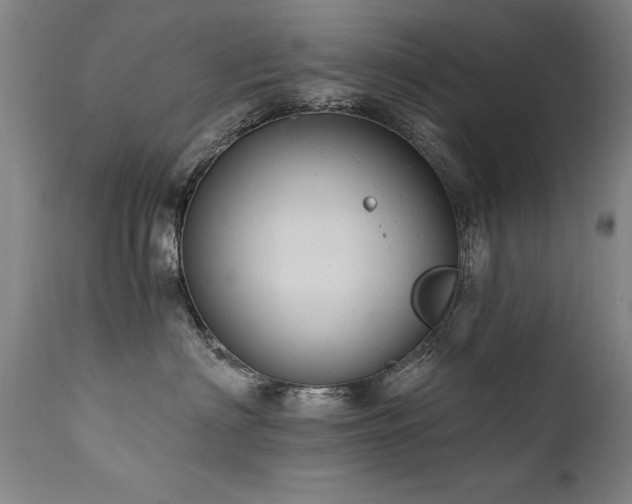 X0000111910622200907271223
