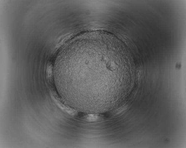 X0000111910623200907271223
