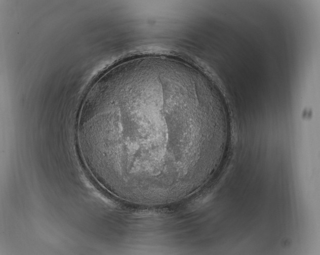 X0000111910625200907271222