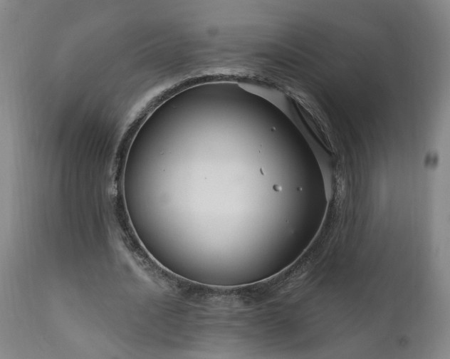 X0000111910628200907271222