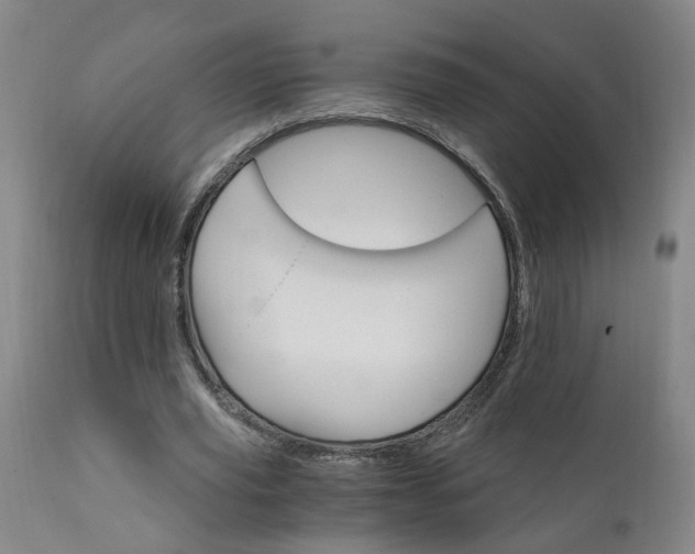 X0000111910629200907271222