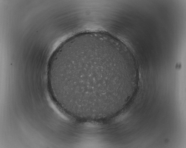 X0000111910630200907271222
