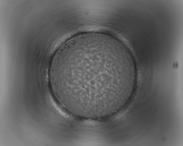 X0000111910633200907271222