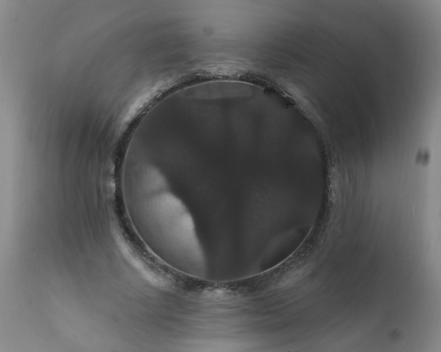X0000111910634200907271222