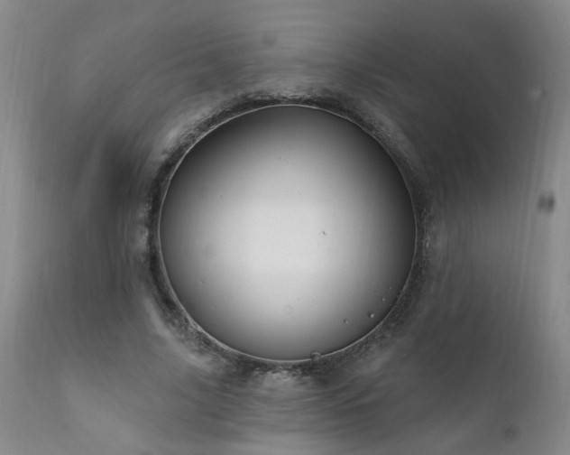 X0000111910635200907271222