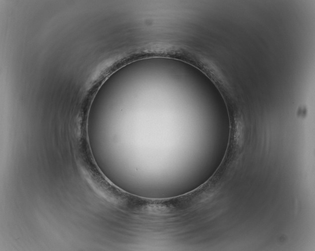 X0000111910636200907271223
