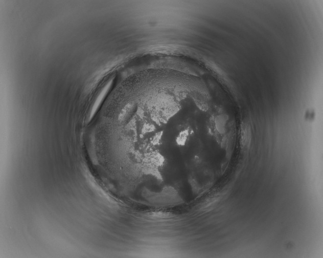 X0000111910637200907271223
