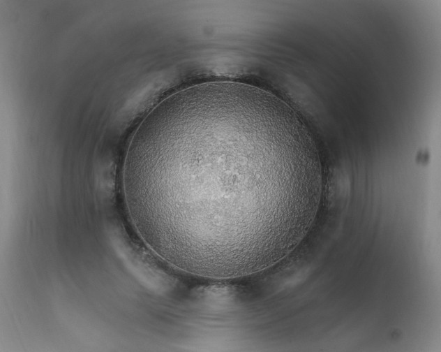 X0000111910639200907271223