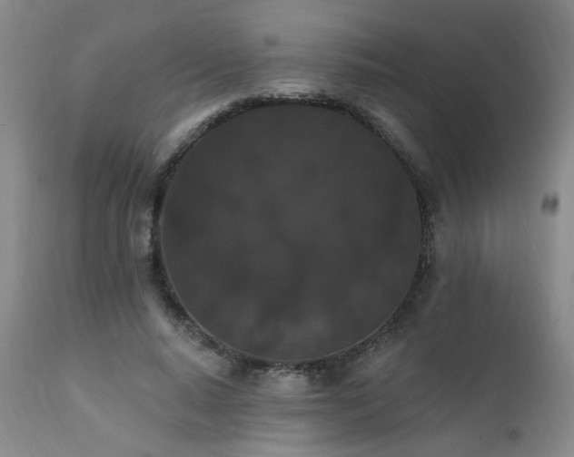 X0000111910640200907271223