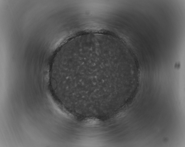 X0000111910642200907271223