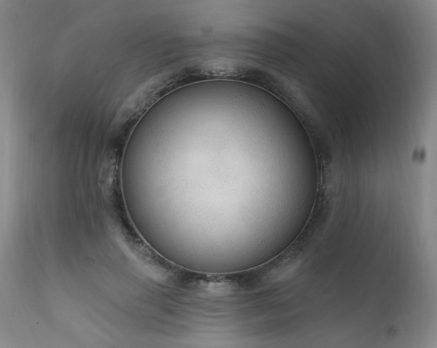 X0000111910645200907271223