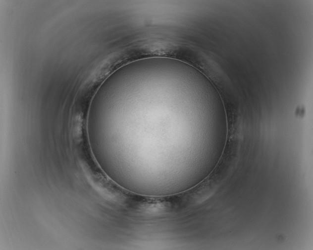 X0000111910646200907271223