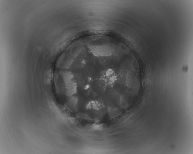 X0000111910647200907271223