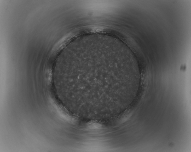 X0000111910648200907271223